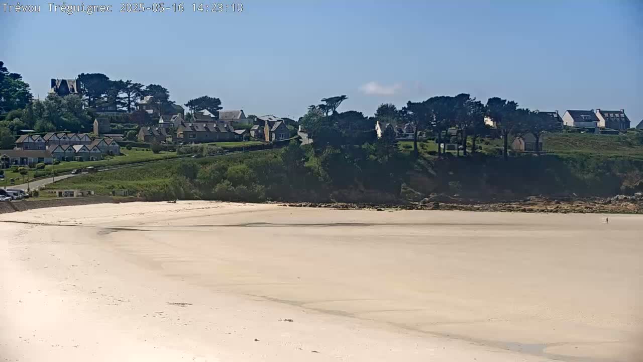 A sandy beach stretches out before a cluster of houses and trees on a clear, sunny day.