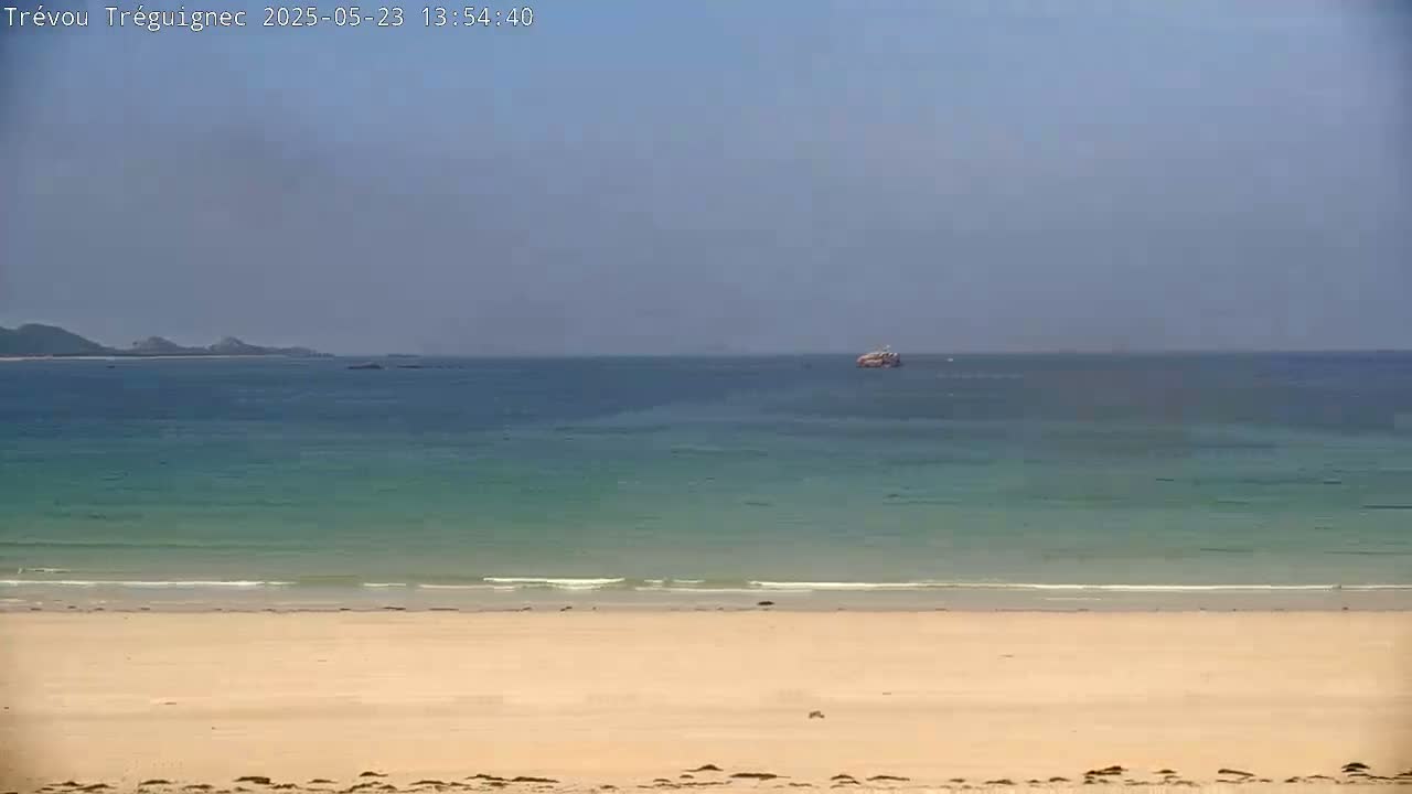 A sandy beach stretches to a calm, light-blue ocean under a clear sky, with a small boat visible in the distance.