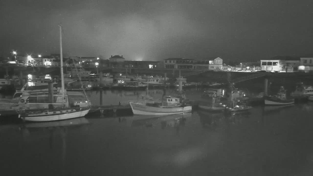 Numerous boats are moored at a harbor at night under a cloudy sky.