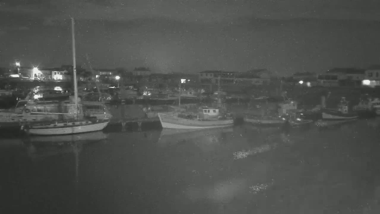 Several boats are moored at a dock at night under a dark, possibly overcast sky.