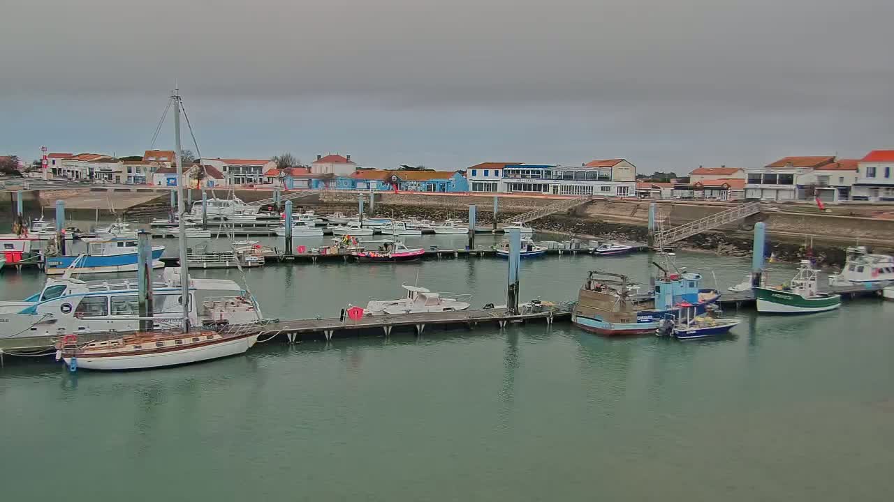 A harbor filled with numerous boats of varying sizes, moored alongside docks in front of a waterfront town under an overcast sky.