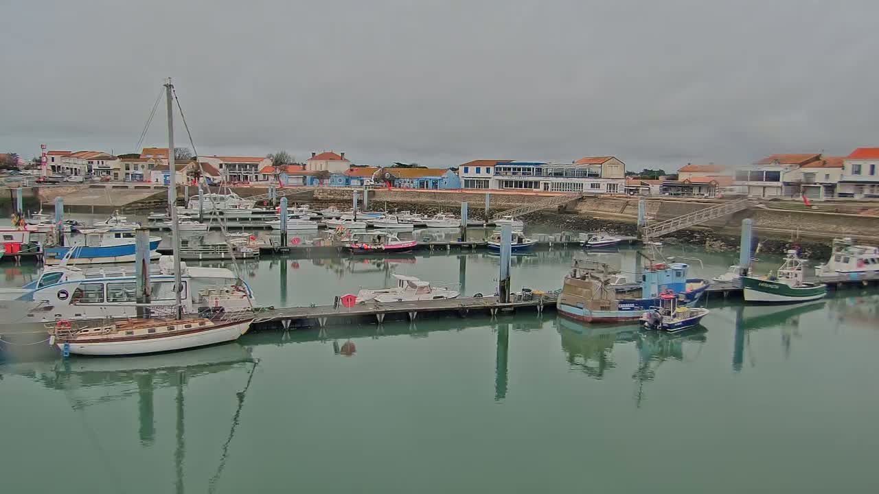 Many boats are docked at a marina on a calm, overcast day, with buildings lining the shore in the background.