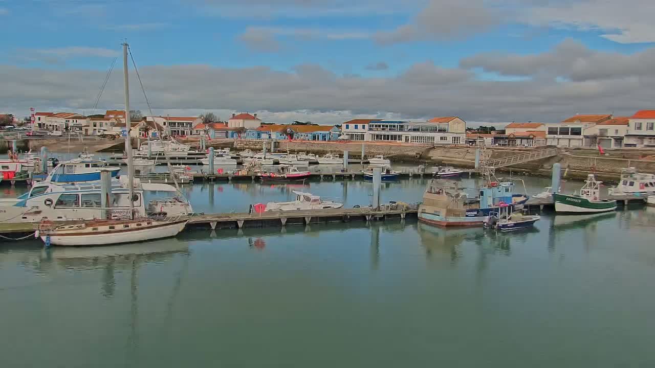 A marina filled with numerous boats of varying sizes is situated near a waterfront town under a partly cloudy sky.