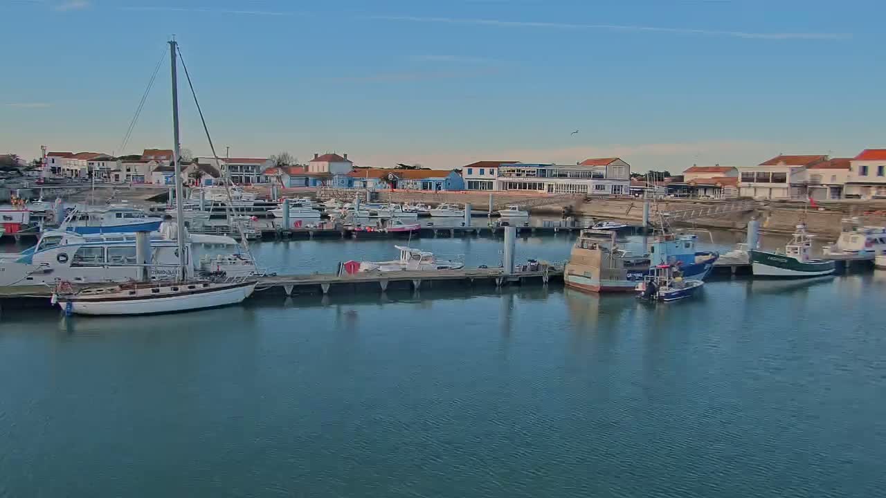 A marina filled with sailboats and motorboats is situated in front of a waterfront town under a clear blue sky.