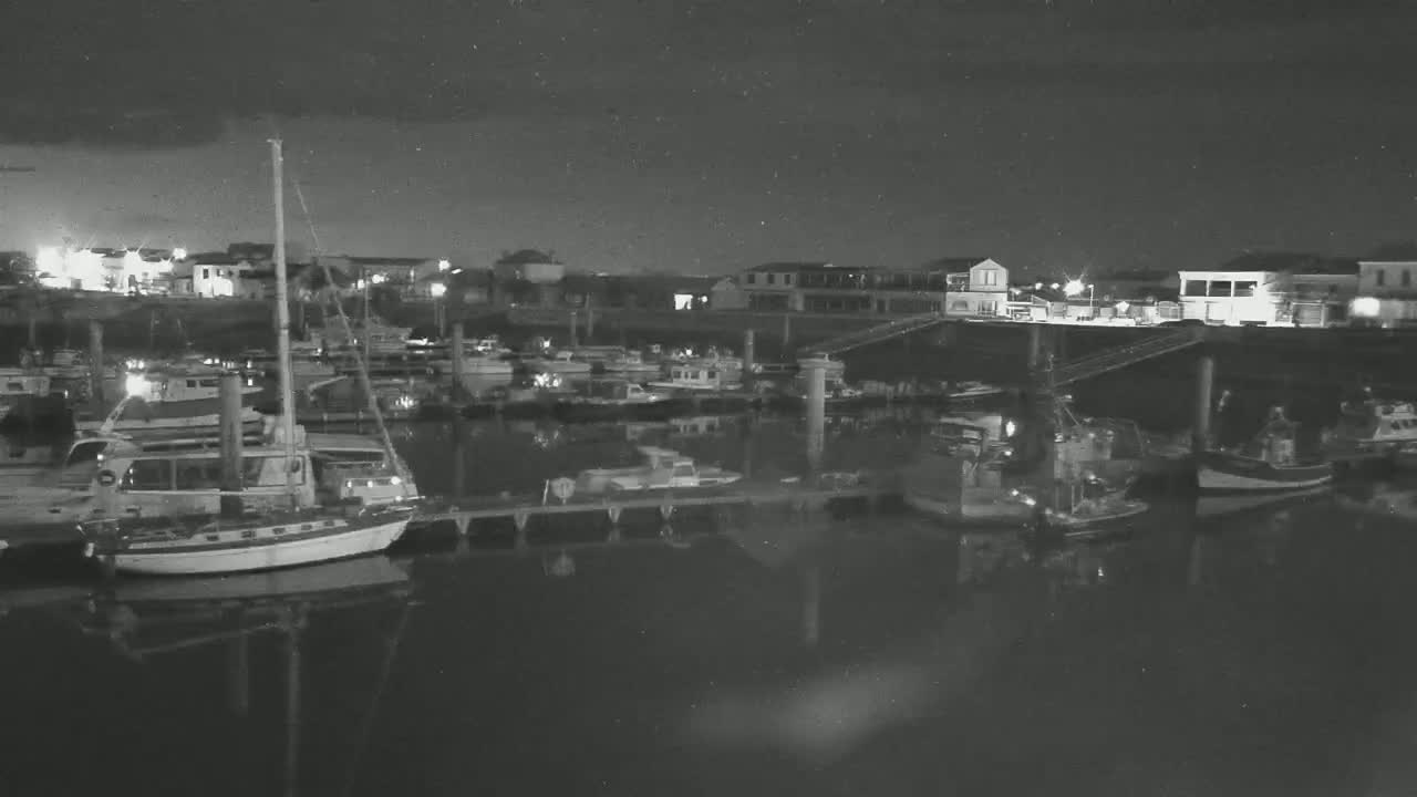 A nighttime view of a marina with numerous boats docked, some buildings in the background under a clear, starry sky.