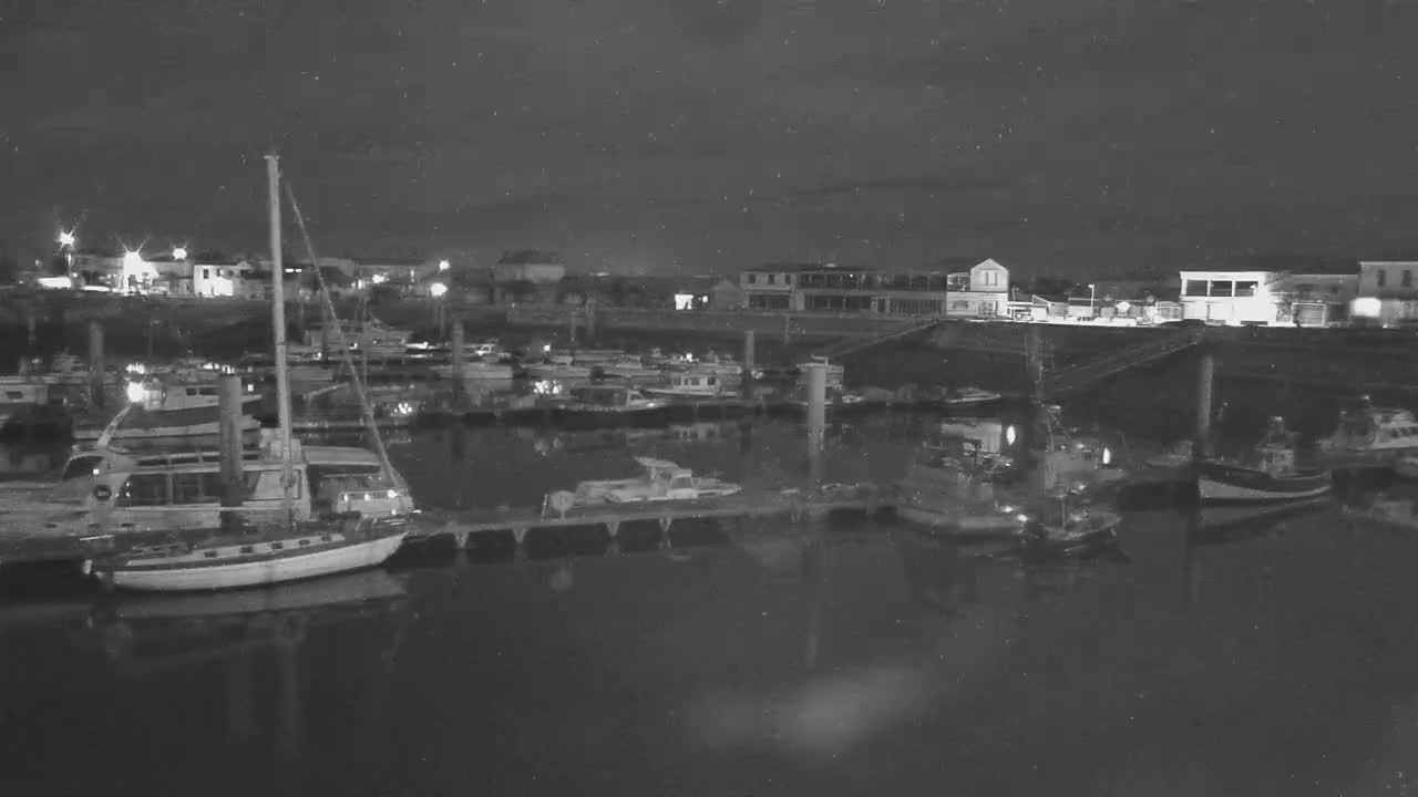 A nighttime view of a marina with numerous boats docked, some lights visible on the buildings in the background under a dark, possibly slightly cloudy sky.
