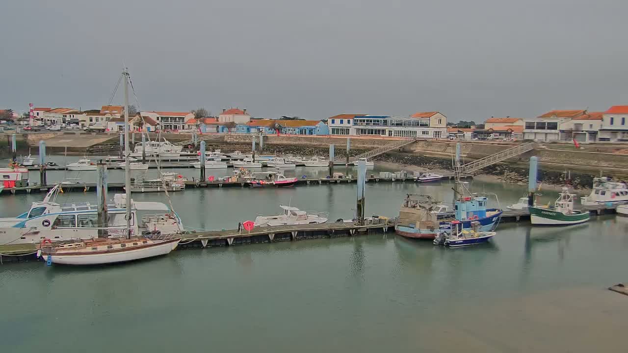 A harbor filled with numerous boats of various sizes, docked along piers in front of a small town under an overcast sky.