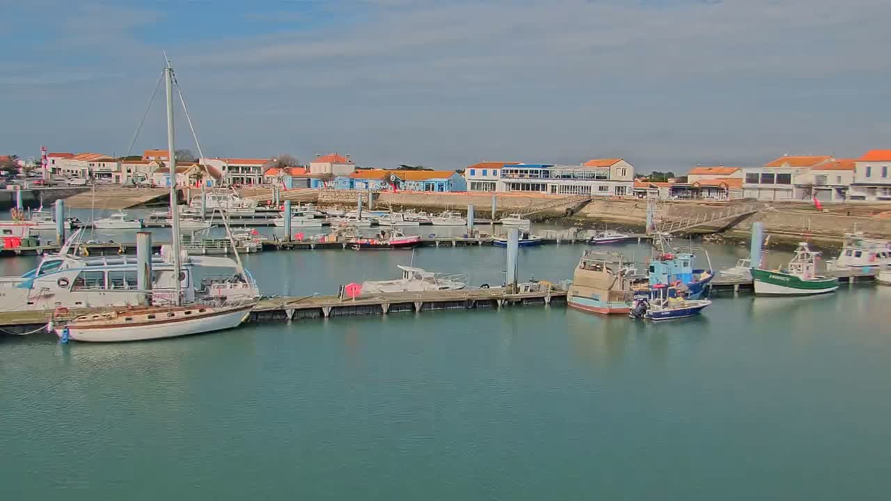 A harbor filled with numerous boats of various sizes is nestled next to a row of buildings under a mostly sunny sky.