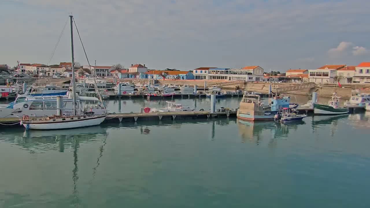 A calm harbor filled with various boats, including sailboats and fishing vessels, is situated in front of a row of buildings under a partly cloudy sky.