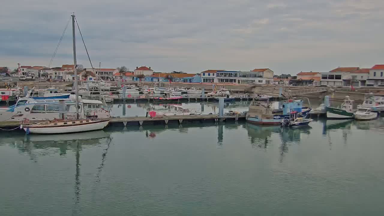 A calm harbor filled with numerous boats of varying sizes, docked alongside a waterfront lined with buildings under an overcast sky.