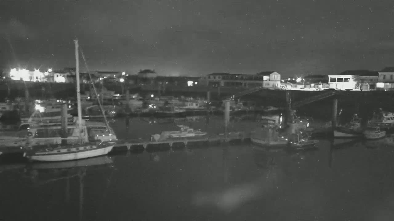 A nighttime view of a marina with numerous boats docked, some lights illuminating the scene under a dark, clear sky.