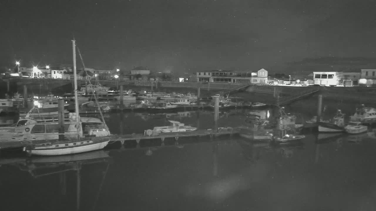 A nighttime view of a harbor filled with numerous boats docked along piers, under a dark sky.