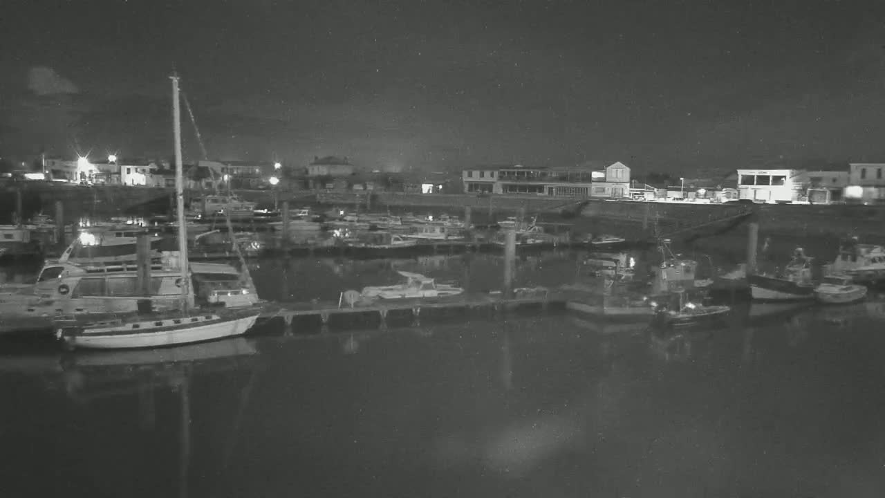 Many boats are moored at a marina at night under a dark sky.