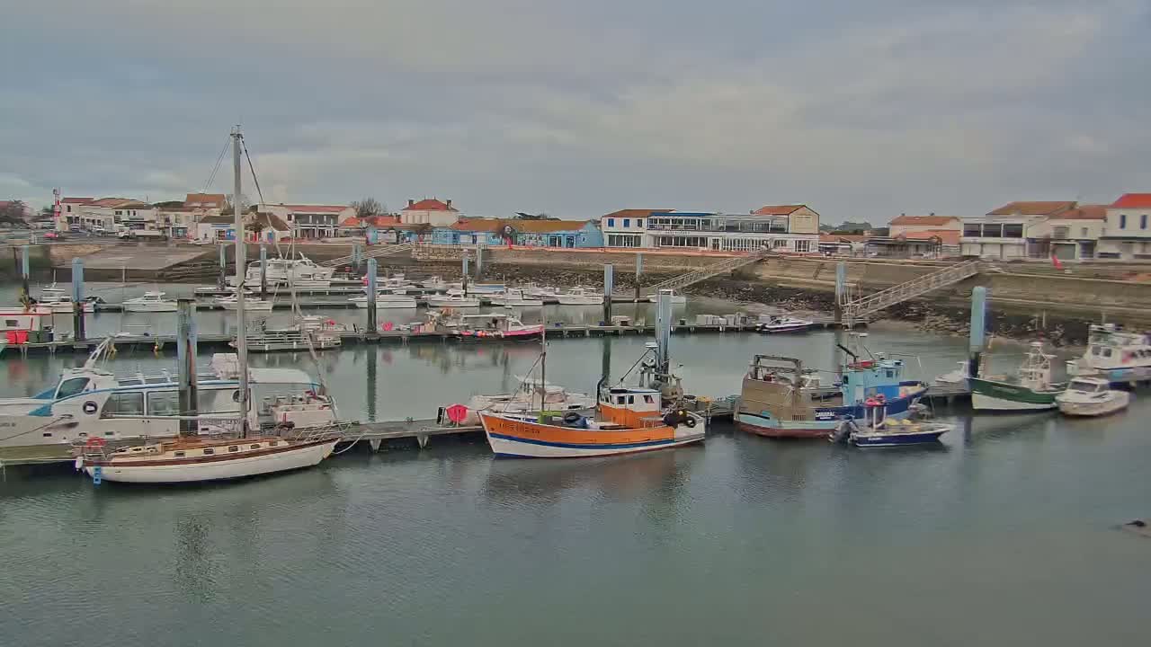 A harbor filled with various sized boats and docked along a waterfront with buildings under an overcast sky.