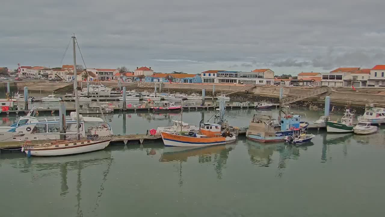 A calm harbor filled with various boats and yachts is situated in front of a small town under an overcast sky.