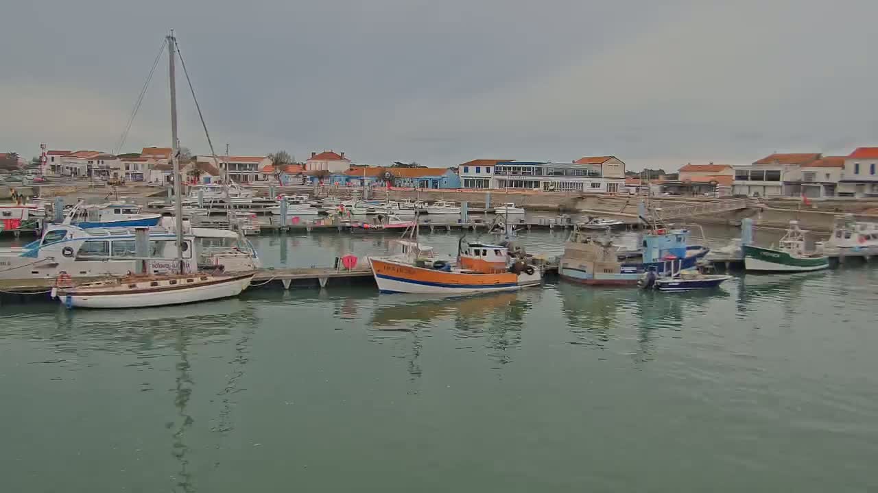 A harbor filled with various boats and sailboats is situated in front of a line of buildings under an overcast sky.