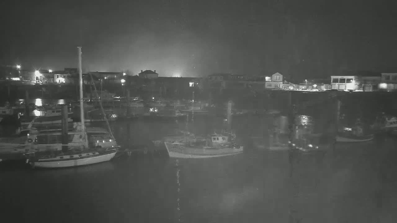 A nighttime view of a harbor filled with numerous boats moored alongside a waterfront with buildings under a dark, possibly overcast sky.