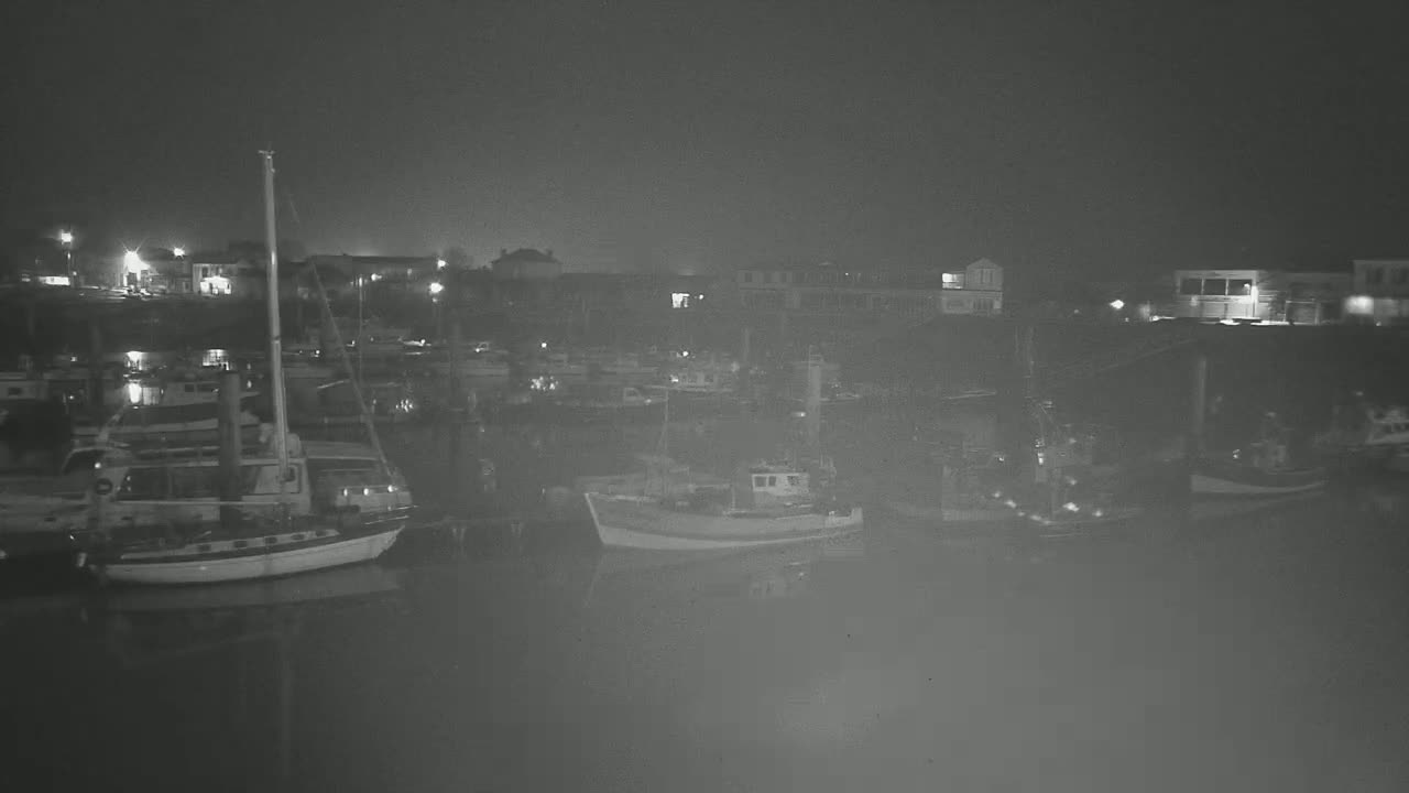A nighttime, hazy view of a harbor filled with numerous boats moored along a waterfront lined with buildings.