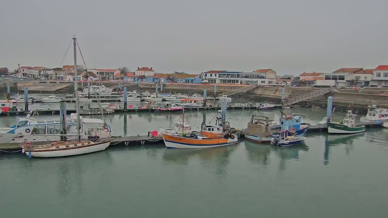A harbor filled with various sized boats and ships on a cloudy day.