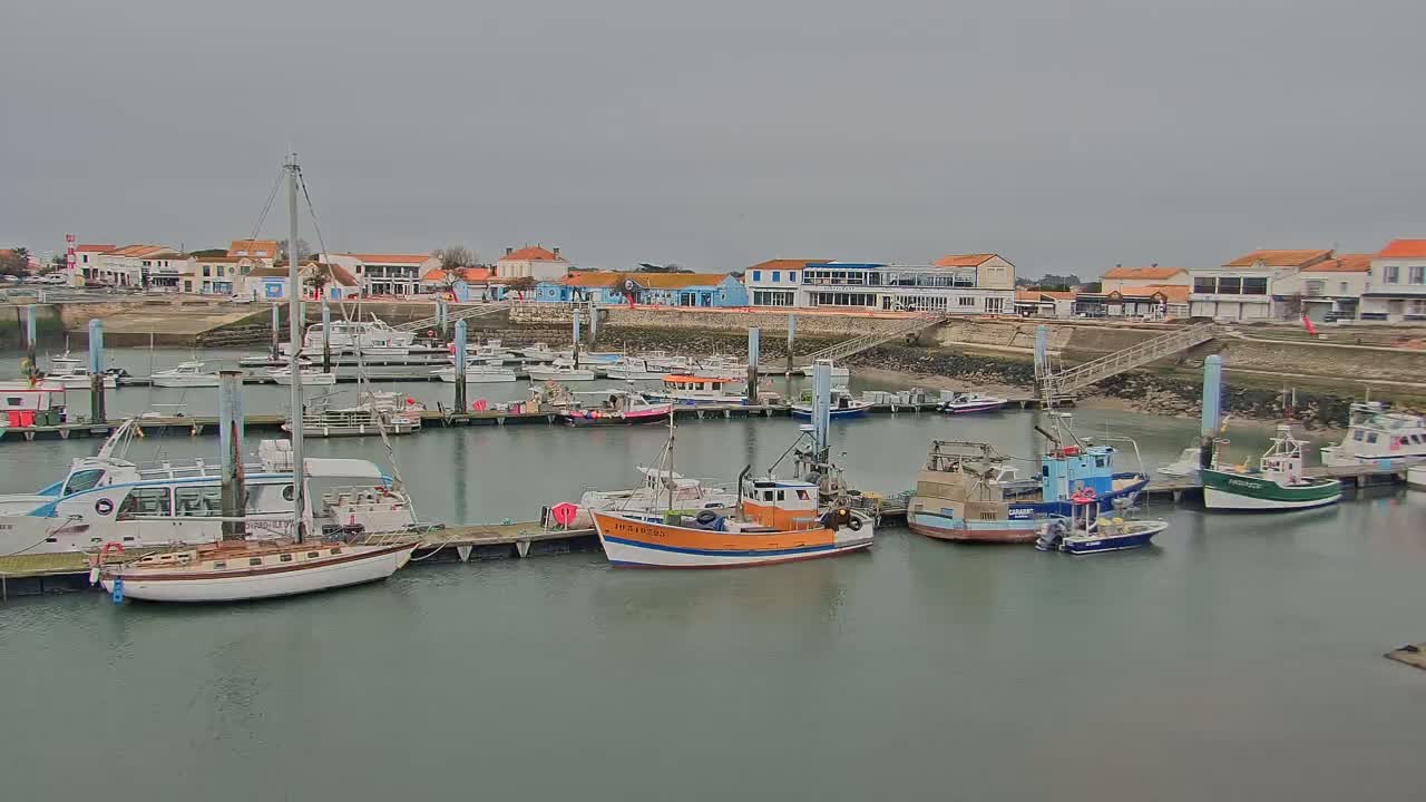 A harbor filled with various boats on a cloudy day,  backed by a row of buildings.