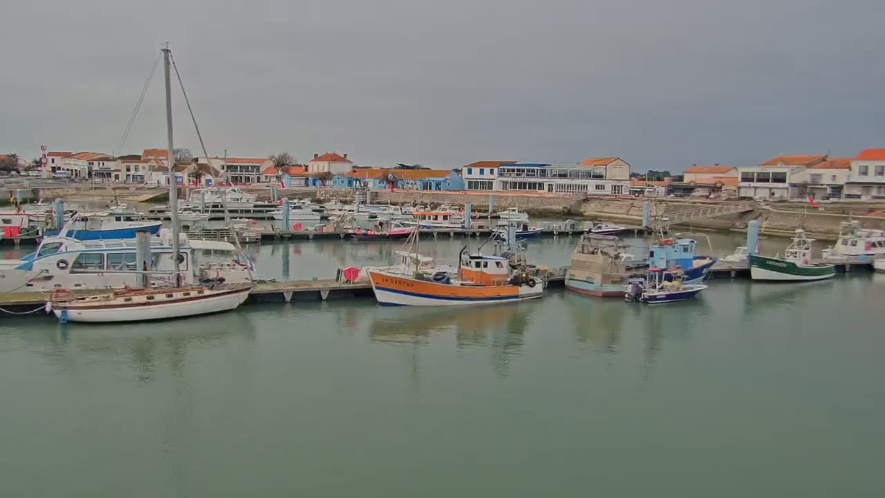 A harbor filled with various sized boats and yachts under an overcast sky is seen from across the water.