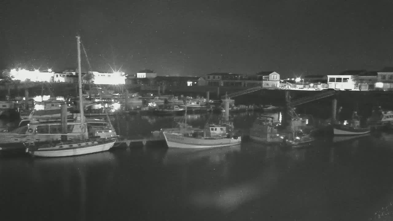 Several boats are moored at a dock at night, under a dark sky.