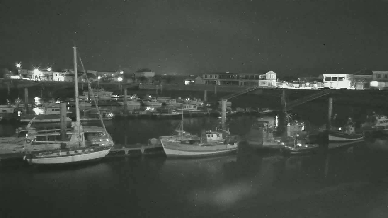Numerous boats are moored at a marina at night under a dark, clear sky.