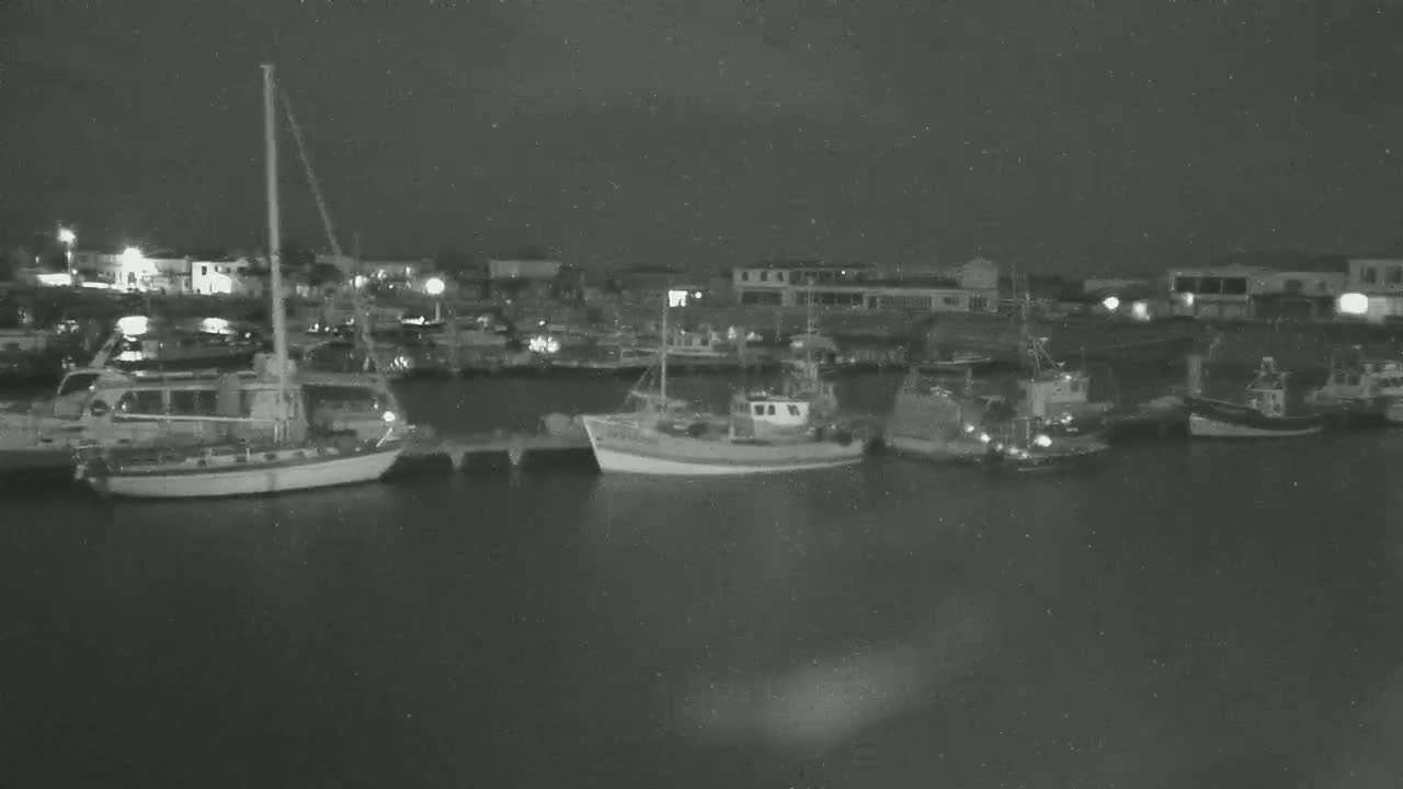 Several boats are moored at a harbor at night under a dark, possibly cloudy sky.