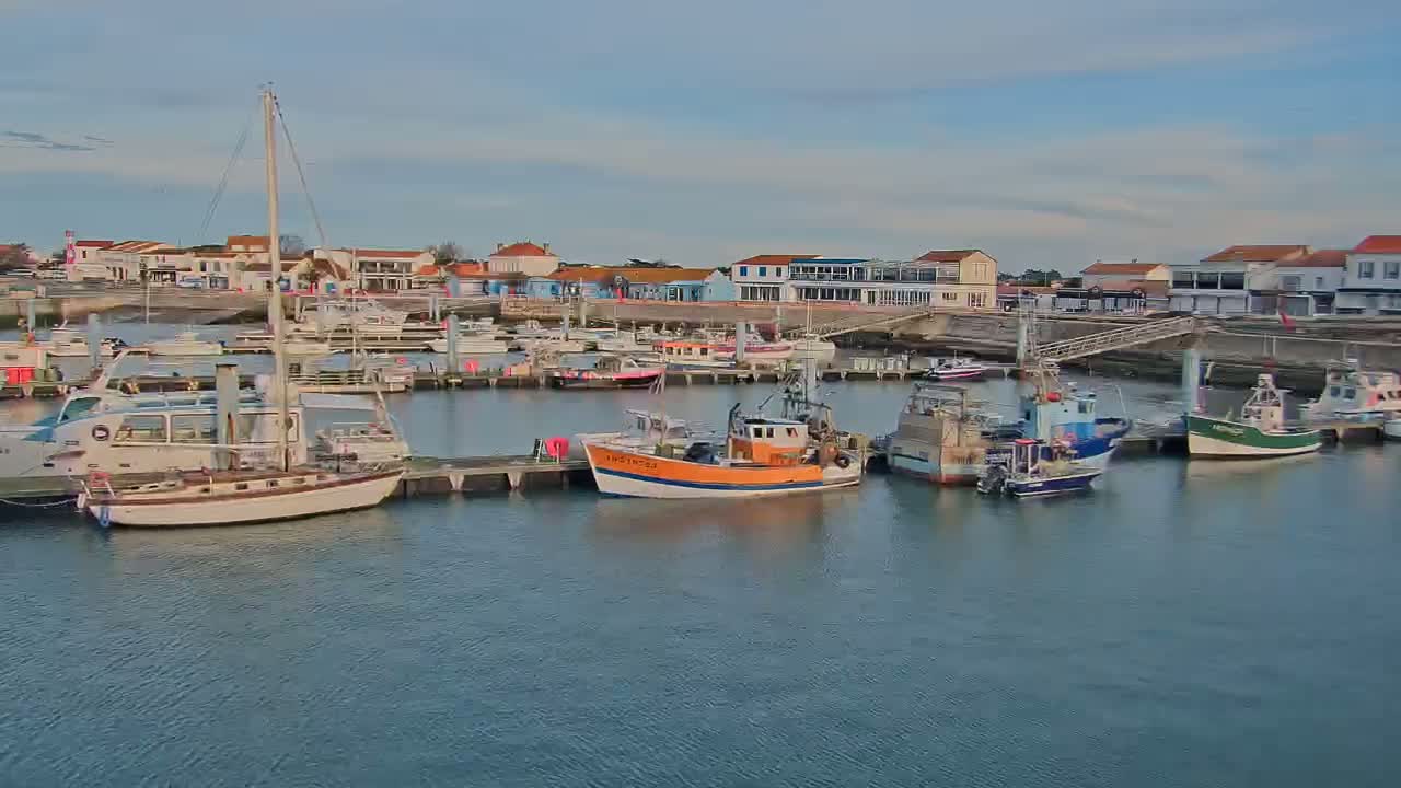 A calm harbor filled with various sized boats and yachts is situated in front of a waterfront town under a mostly clear sky.