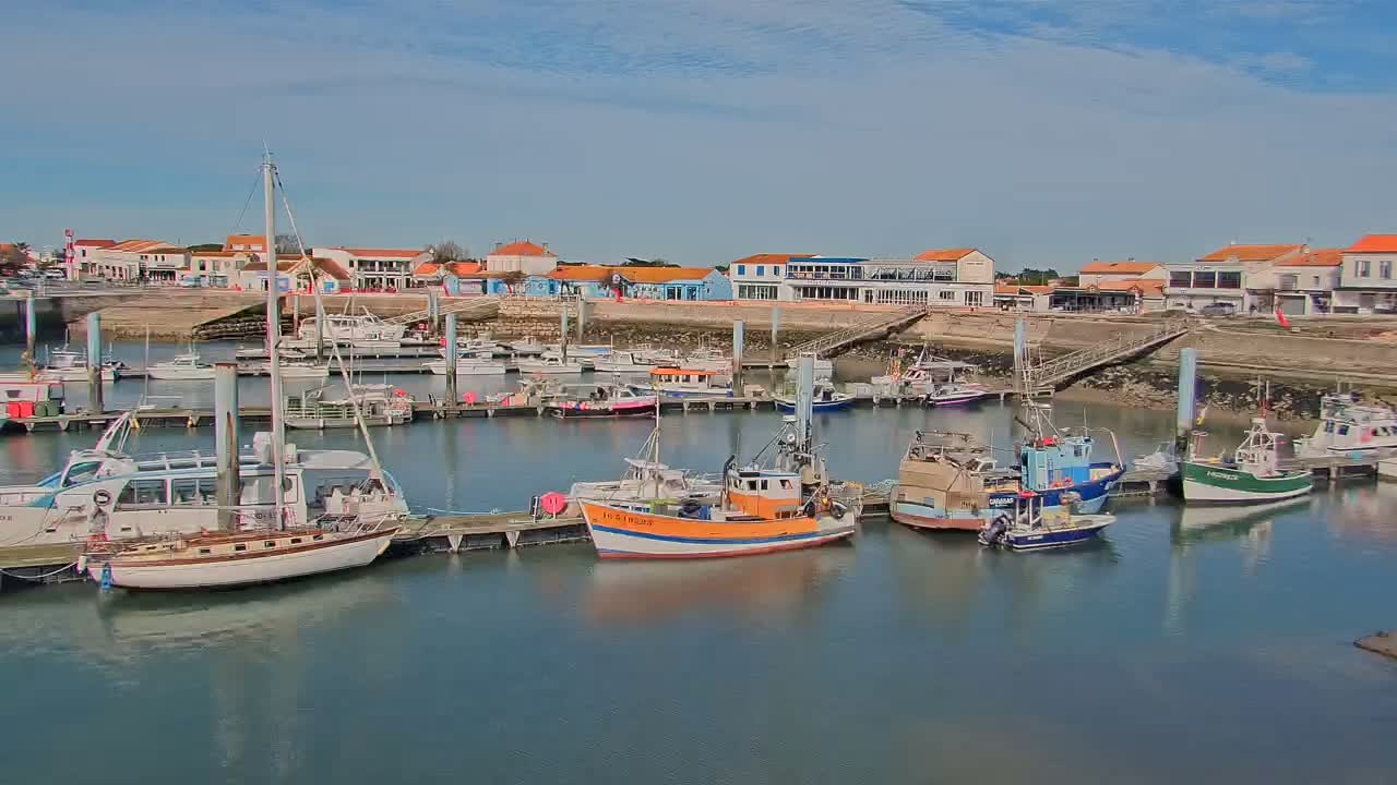 A harbor filled with various boats, including fishing vessels and sailboats, is situated in front of a waterfront town under a sunny sky.