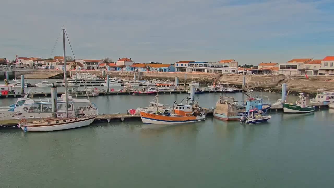 A harbor filled with various boats, including fishing vessels and sailboats, is situated next to a waterfront town under a partly cloudy sky.
