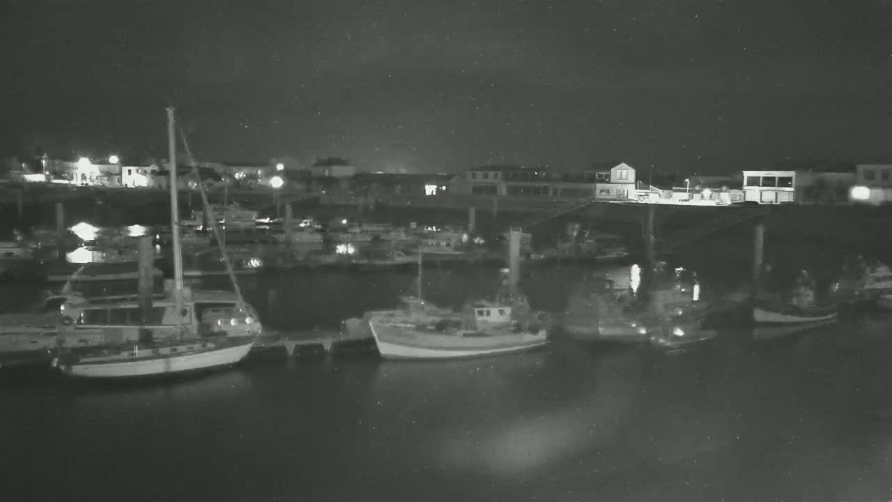 A nighttime view of a harbor filled with numerous boats and buildings under a dark, possibly cloudy sky.