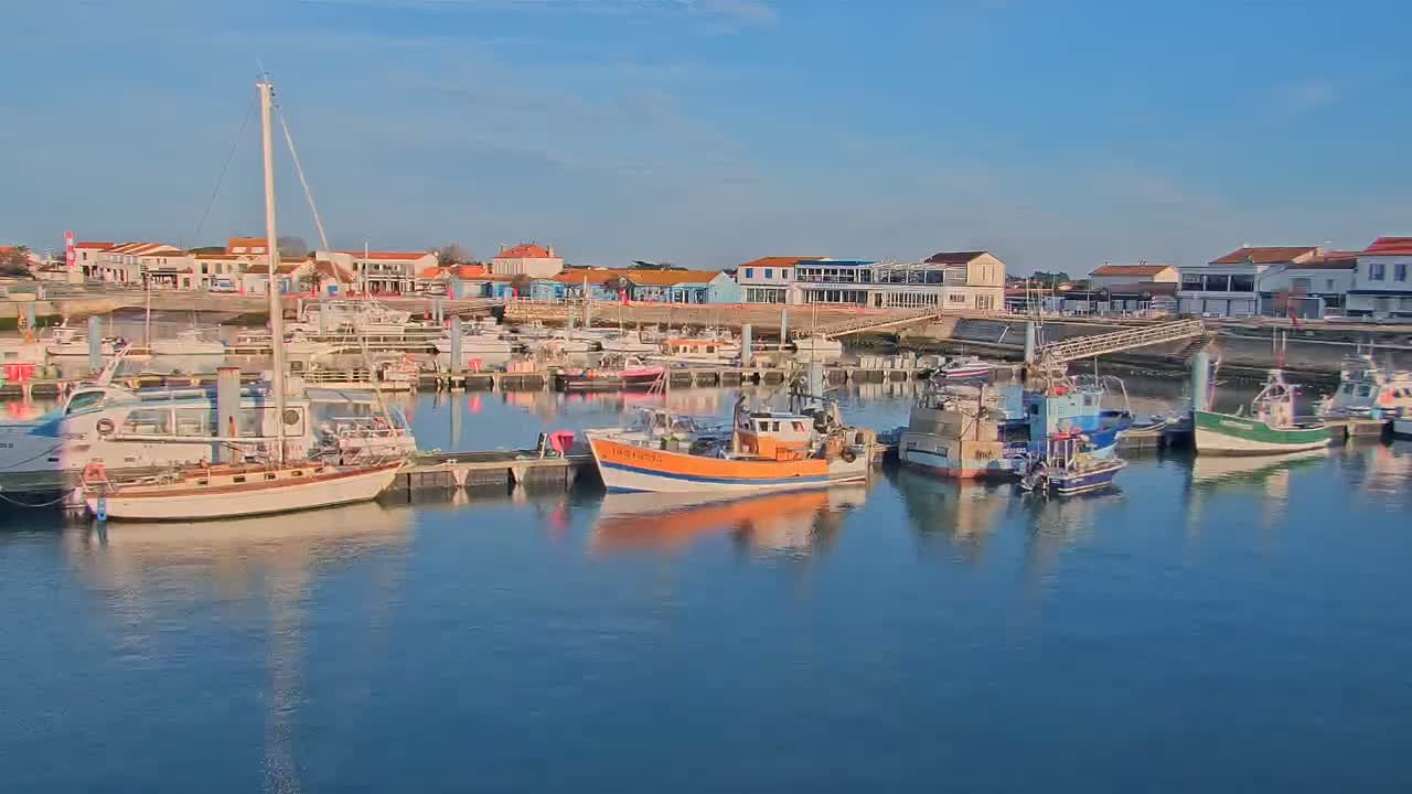 A calm harbor filled with various sized boats, docked alongside a waterfront lined with buildings under a clear, sunny sky.