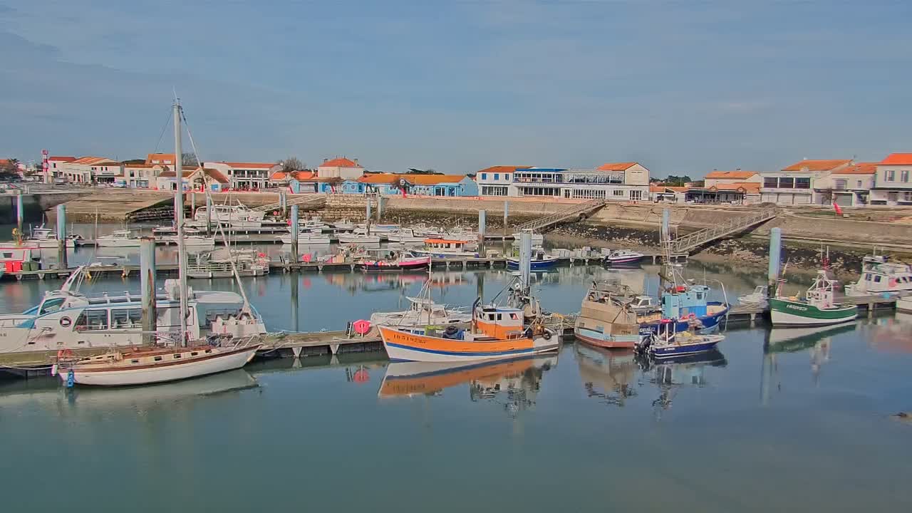 A harbor filled with various sized boats and yachts is situated next to a waterfront town on a sunny day.