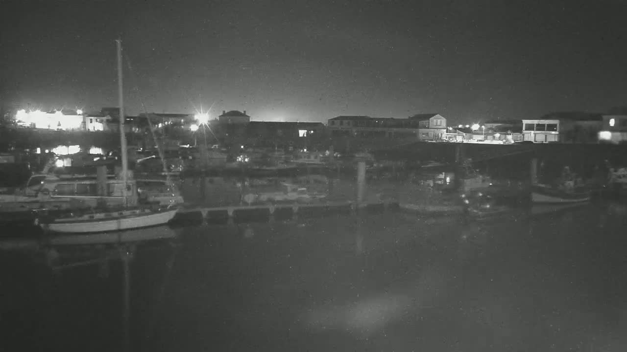 Several boats are moored at a marina at night, under a dark, clear sky.