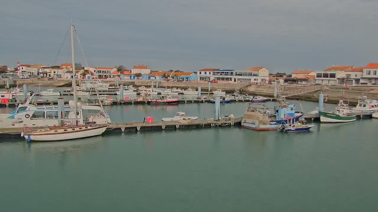 A marina filled with various boats is situated in front of a waterfront town under an overcast sky.