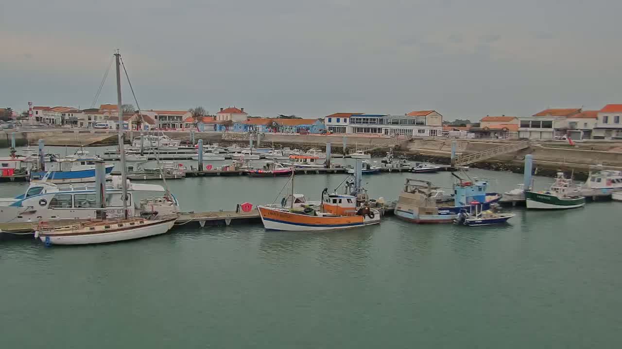 A harbor filled with various boats, some docked and others at anchor, sits in front of a waterfront town under an overcast sky.
