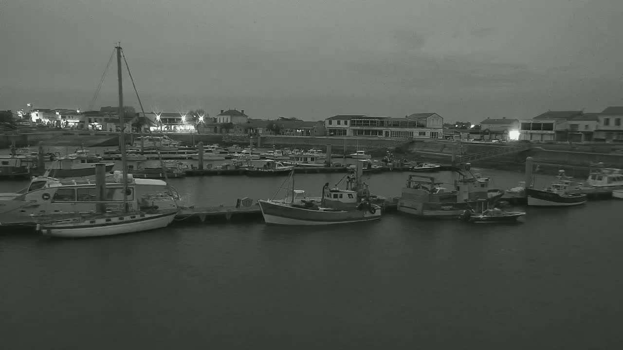 Many boats are docked in a harbor at twilight under a gray sky.