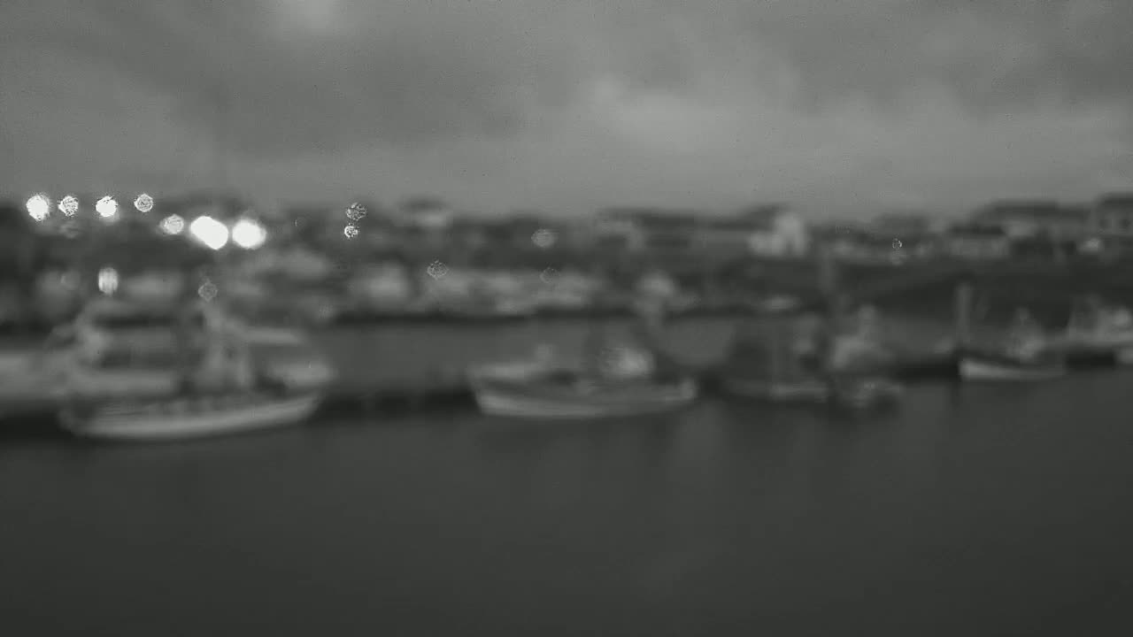 A blurry, black and white image shows several boats docked at a harbor under a cloudy sky.