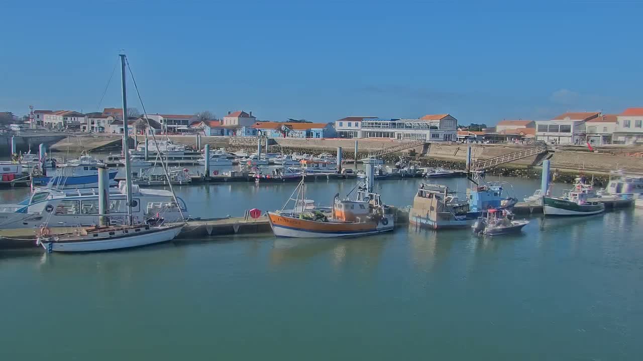 Under a clear blue sky, numerous boats of varying sizes are docked in a harbor next to a waterfront town.