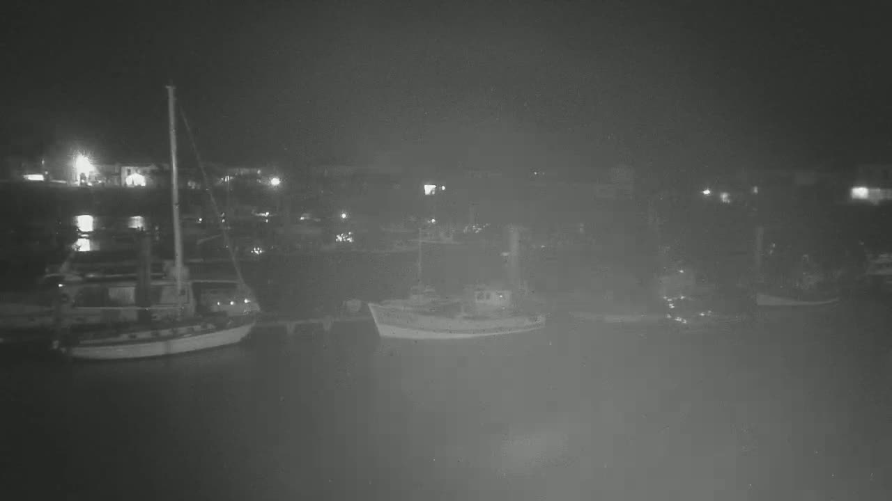 Several boats are moored in a harbor at night under a dark, hazy sky.