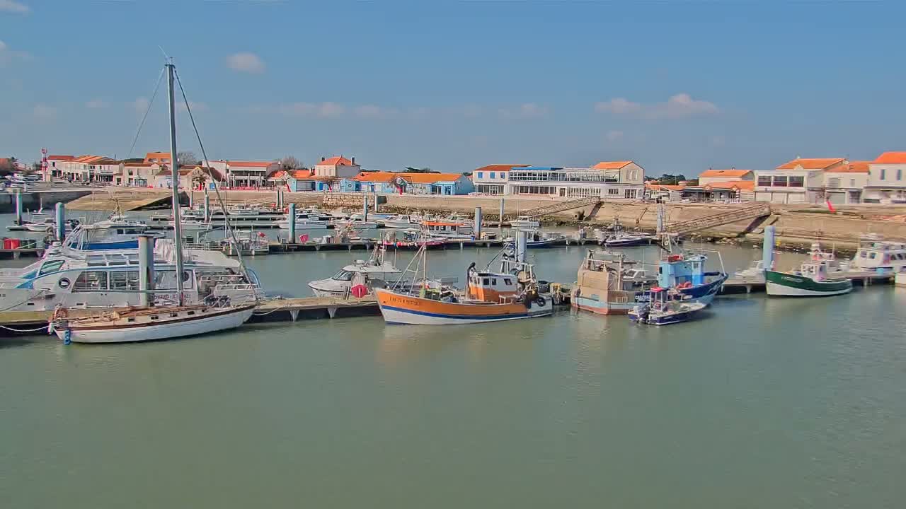 A harbor filled with various boats and sailboats is situated in front of a waterfront town under a clear, sunny sky.