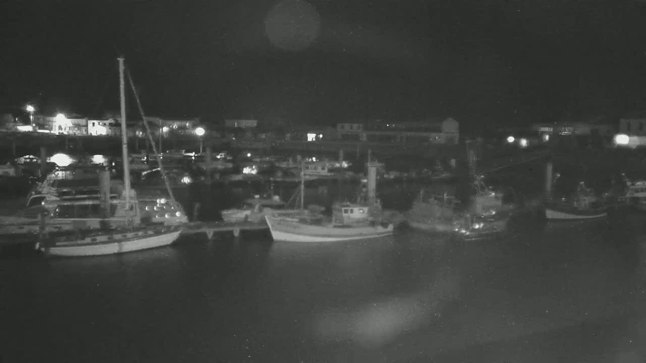 Several boats are moored at a dock at night under a dark sky.