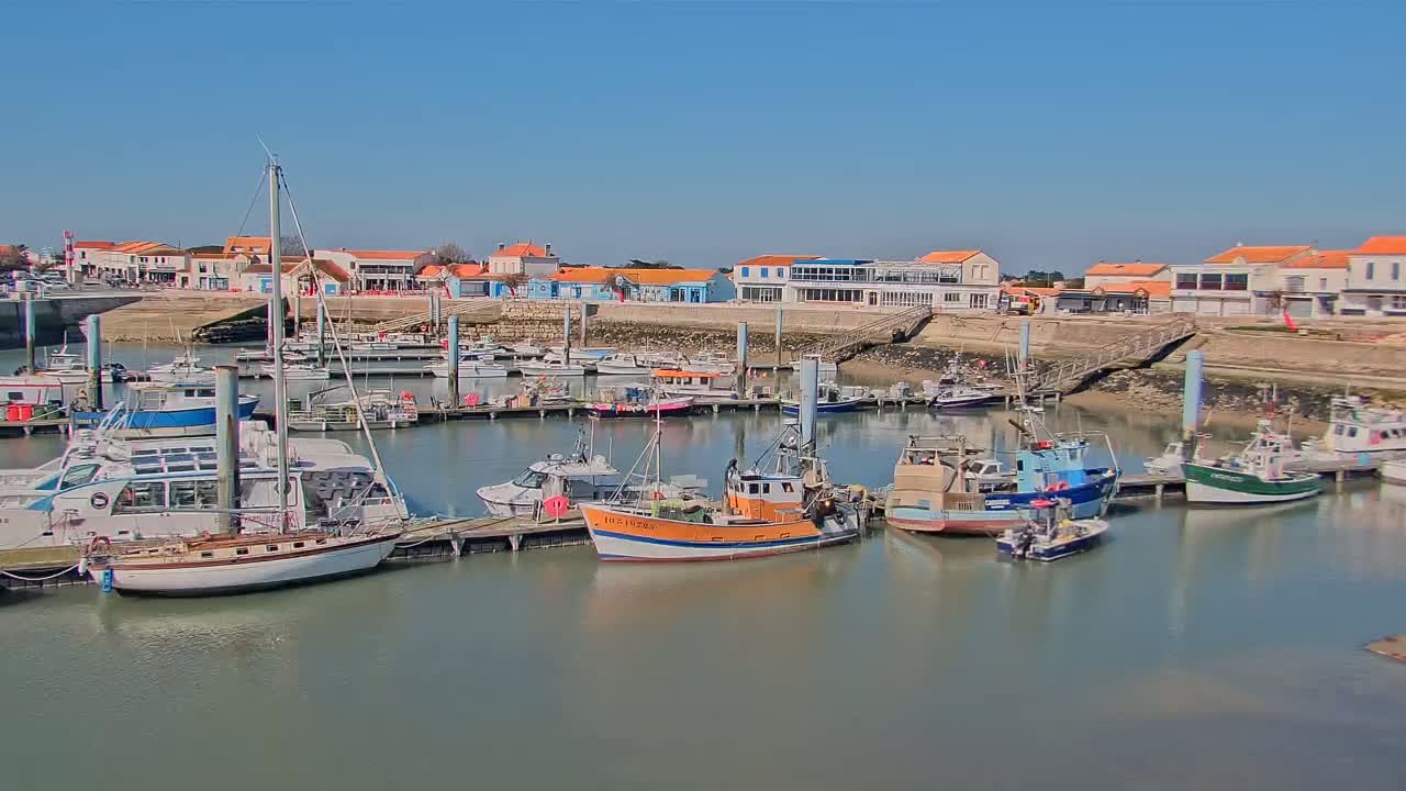 A harbor filled with numerous boats of varying sizes, docked along a waterfront lined with buildings under a clear, sunny sky.