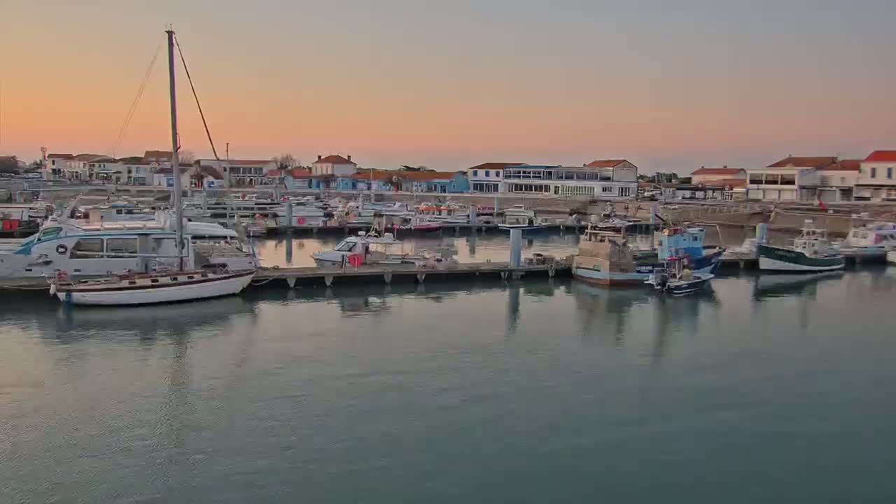 Numerous boats are moored at a marina under a calm, pinkish sunset sky.