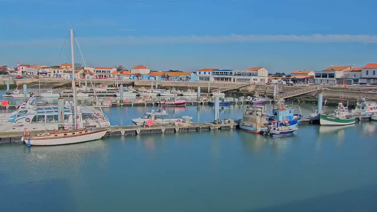 A marina filled with various boats, including sailboats and fishing vessels, is situated in front of a waterfront town under a clear, sunny sky.