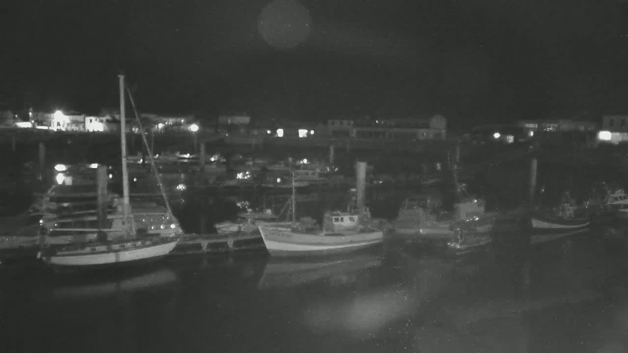 Several boats are moored in a harbor at night.