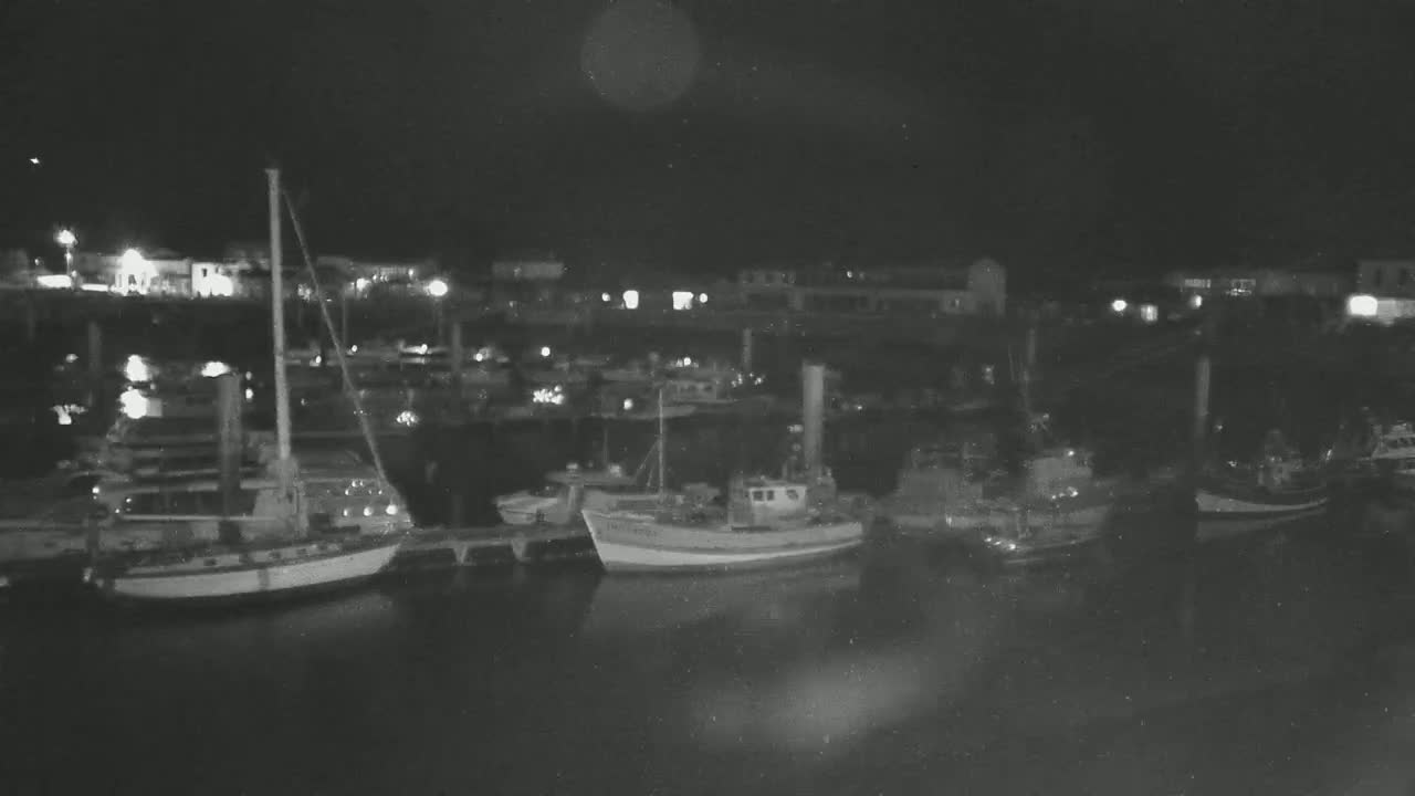 Several boats are moored at a harbor at night under a dark sky.