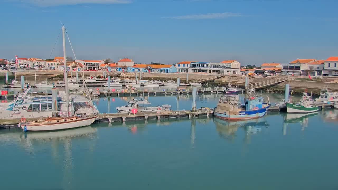A marina filled with various boats and sailboats is situated in front of a waterfront town on a sunny day.
