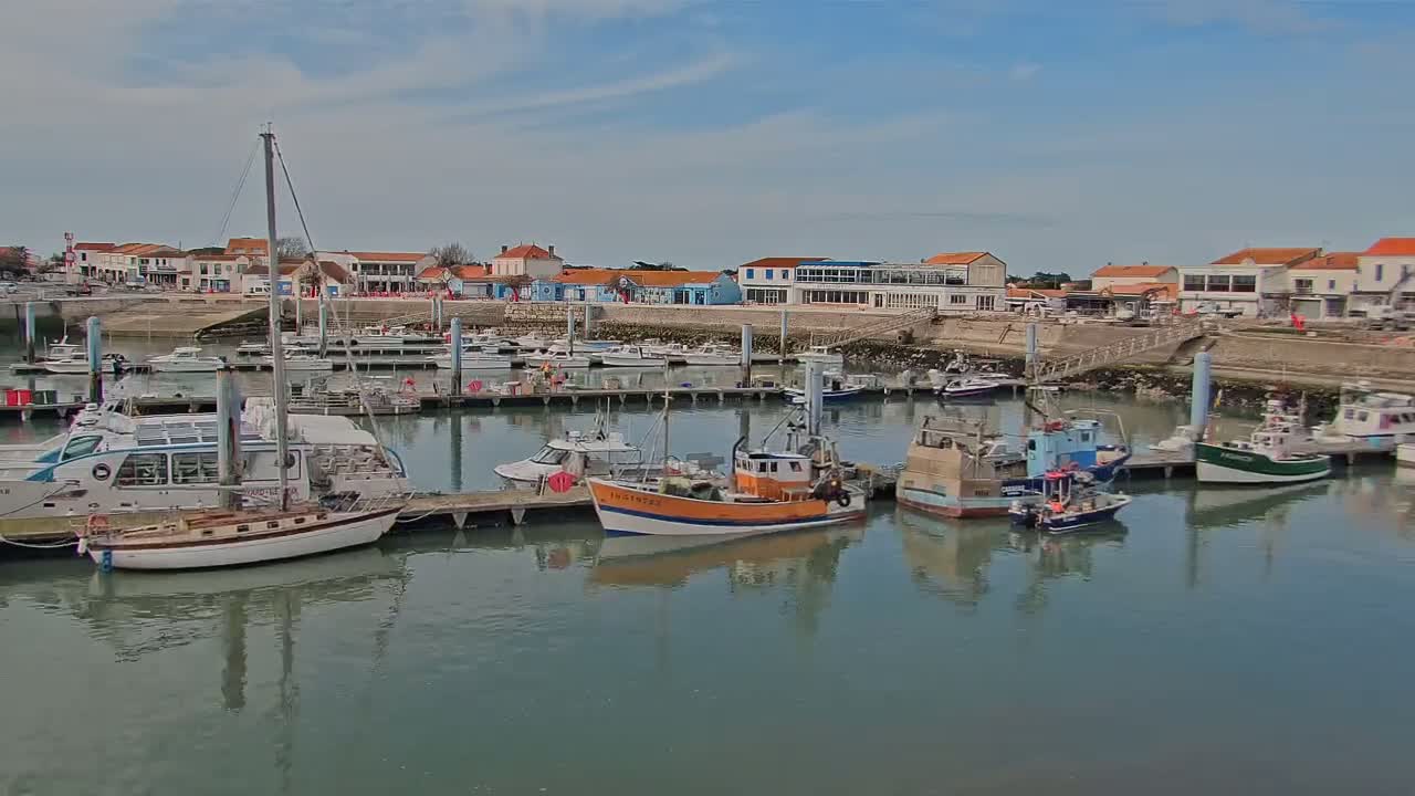 A harbor filled with various boats, including fishing vessels and sailboats, is situated in front of a waterfront town under a partly cloudy sky.
